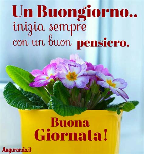 frasi dolce buongiorno|buon giorno buoni anni.